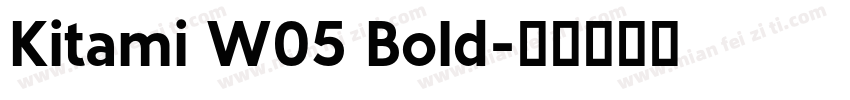 Kitami W05 Bold字体转换